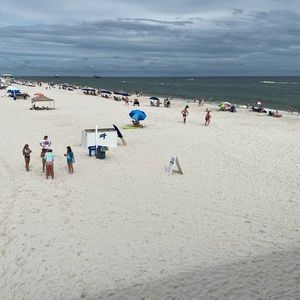 Meet your Posher, Charlotte